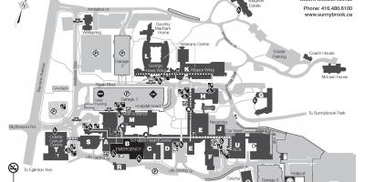 Peta dari Sunnybrook Health sciences centre - SHSC