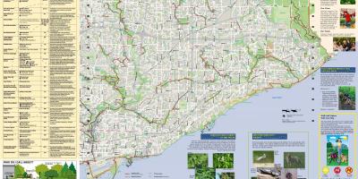 Peta taman dan jalan setapak East Toronto